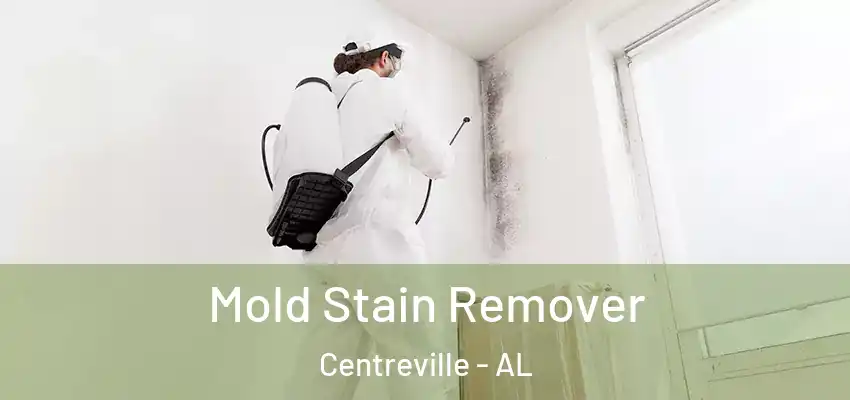  Mold Stain Remover Centreville - AL