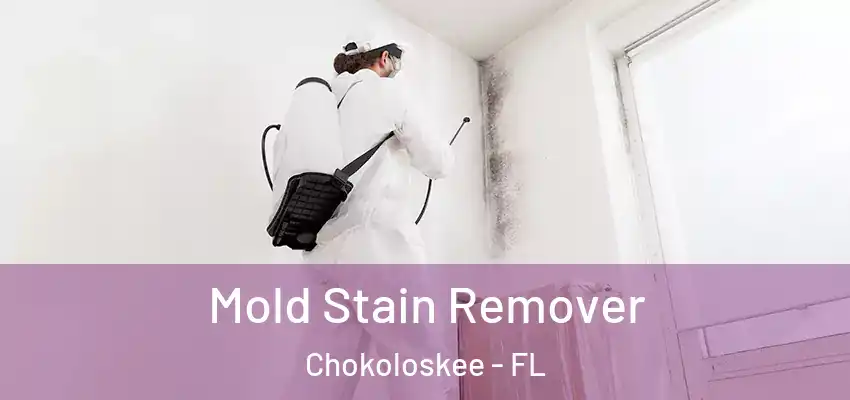Mold Stain Remover Chokoloskee - FL