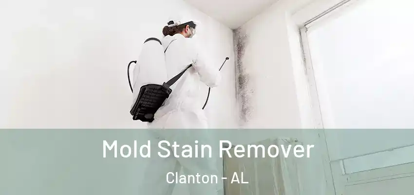  Mold Stain Remover Clanton - AL