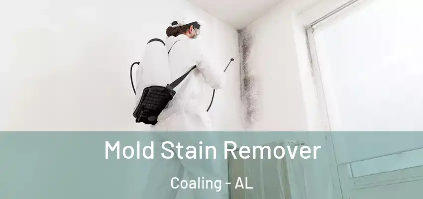 Mold Stain Remover Coaling - AL