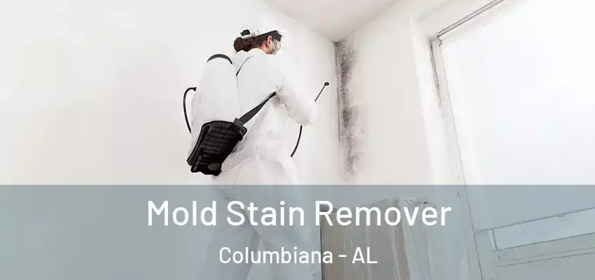  Mold Stain Remover Columbiana - AL