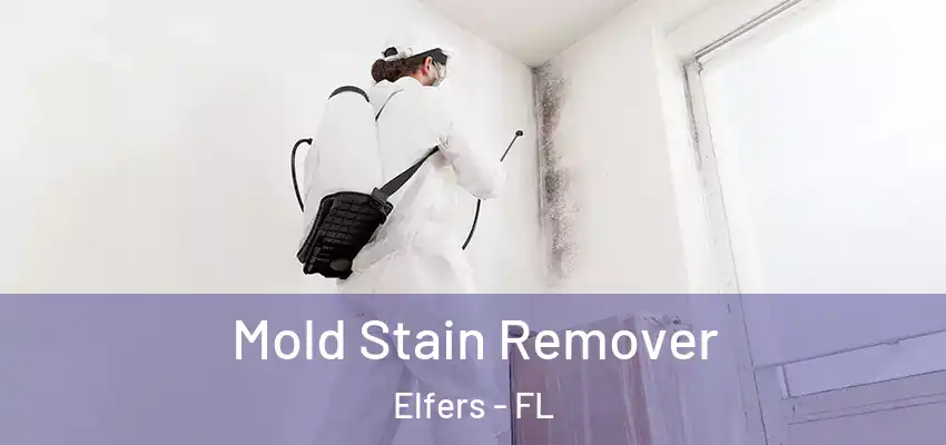 Mold Stain Remover Elfers - FL
