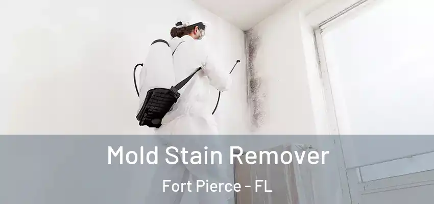 Mold Stain Remover Fort Pierce - FL