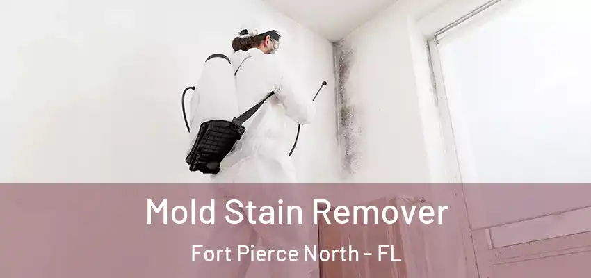 Mold Stain Remover Fort Pierce North - FL