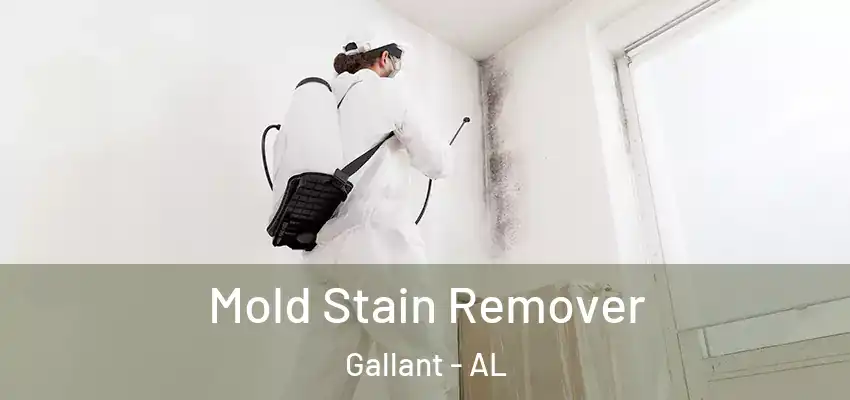  Mold Stain Remover Gallant - AL