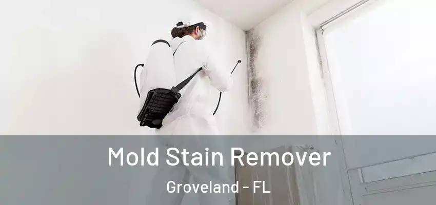  Mold Stain Remover Groveland - FL