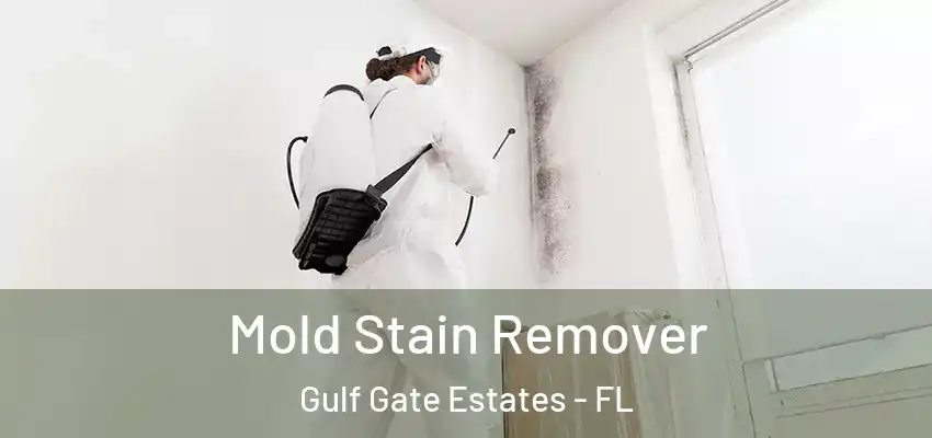 Mold Stain Remover Gulf Gate Estates - FL