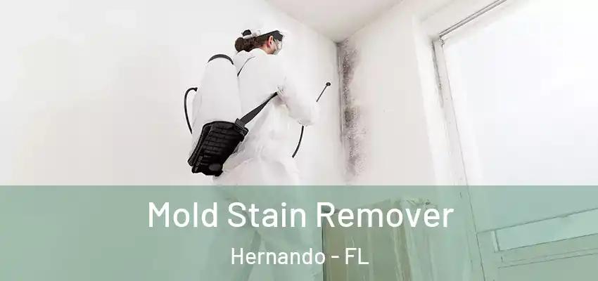 Mold Stain Remover Hernando - FL
