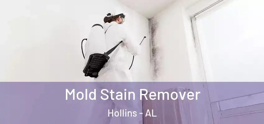  Mold Stain Remover Hollins - AL