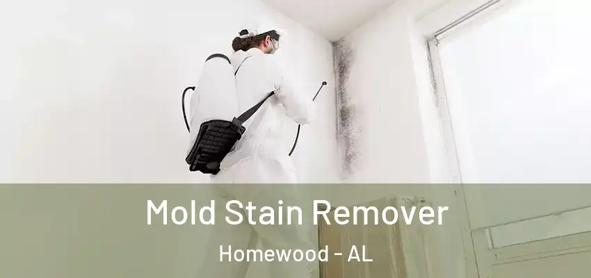 Mold Stain Remover Homewood - AL