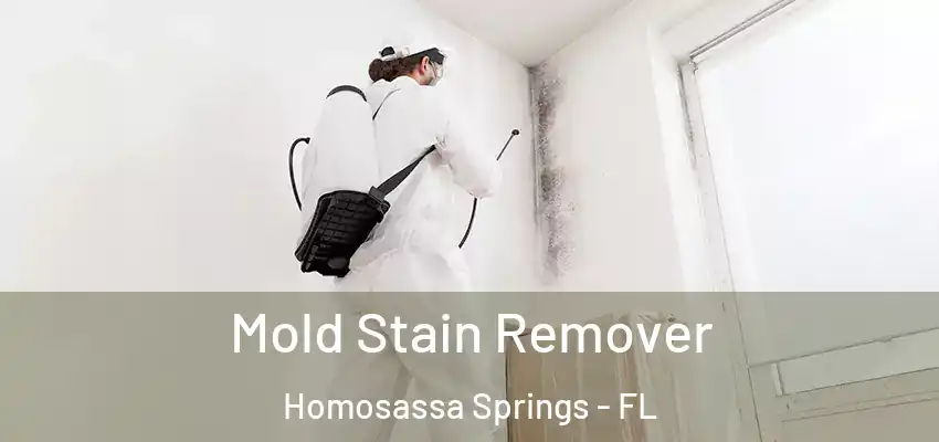  Mold Stain Remover Homosassa Springs - FL