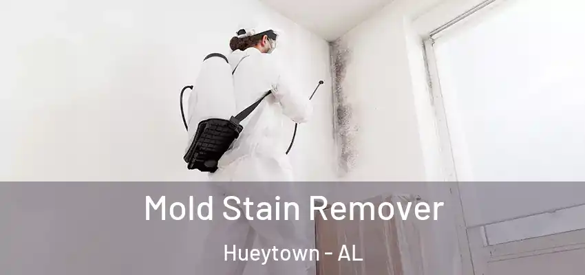 Mold Stain Remover Hueytown - AL