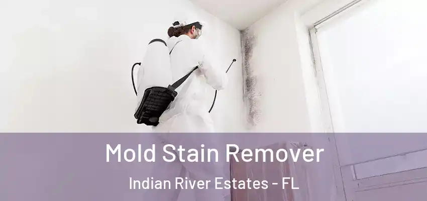  Mold Stain Remover Indian River Estates - FL
