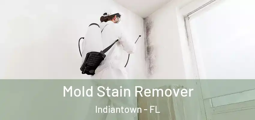 Mold Stain Remover Indiantown - FL
