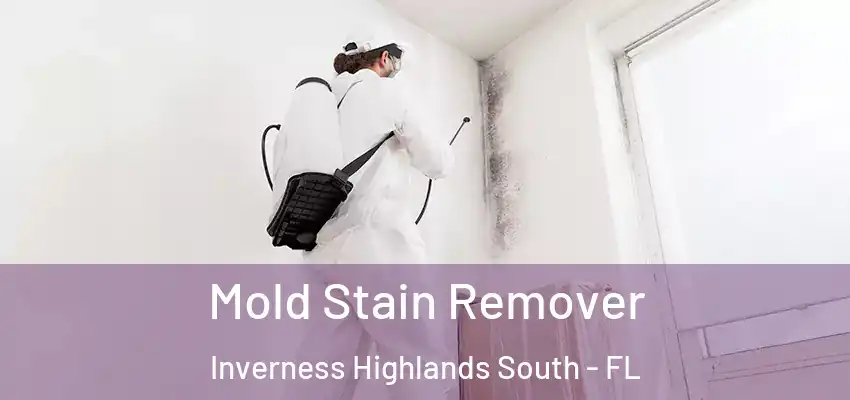Mold Stain Remover Inverness Highlands South - FL