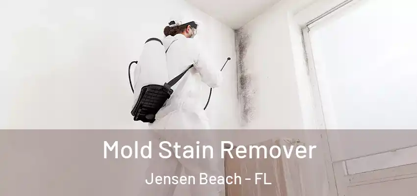 Mold Stain Remover Jensen Beach - FL
