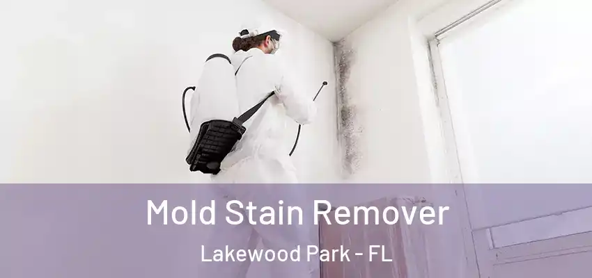 Mold Stain Remover Lakewood Park - FL