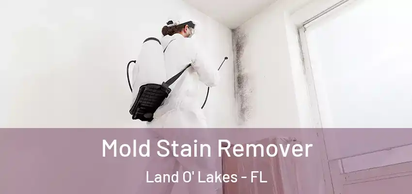 Mold Stain Remover Land O' Lakes - FL