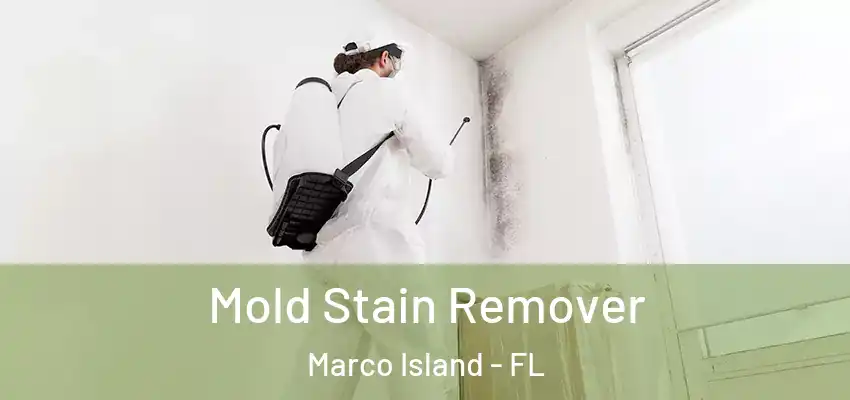  Mold Stain Remover Marco Island - FL