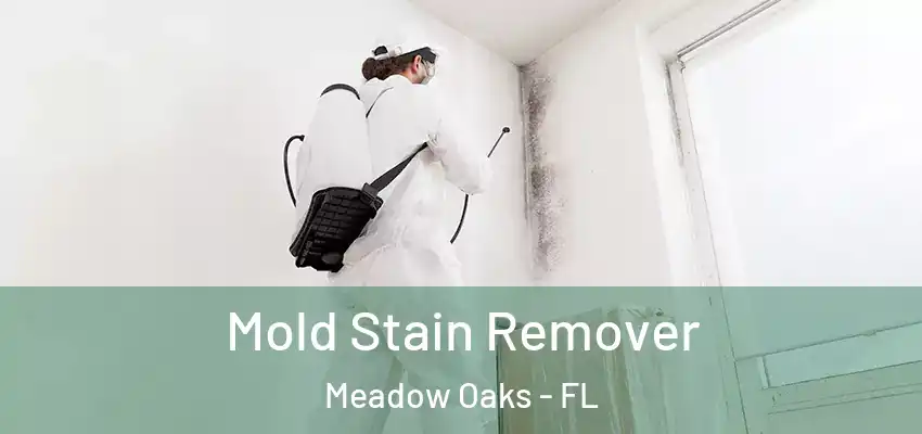  Mold Stain Remover Meadow Oaks - FL