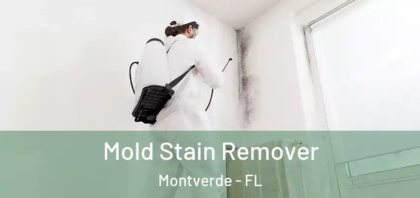 Mold Stain Remover Montverde - FL