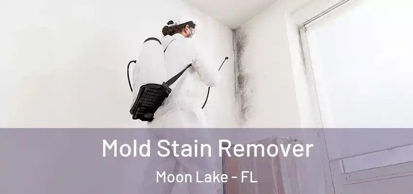  Mold Stain Remover Moon Lake - FL