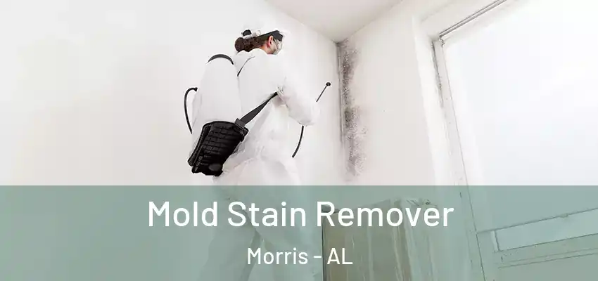 Mold Stain Remover Morris - AL