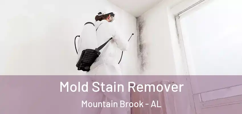 Mold Stain Remover Mountain Brook - AL