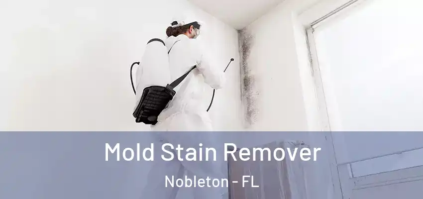 Mold Stain Remover Nobleton - FL