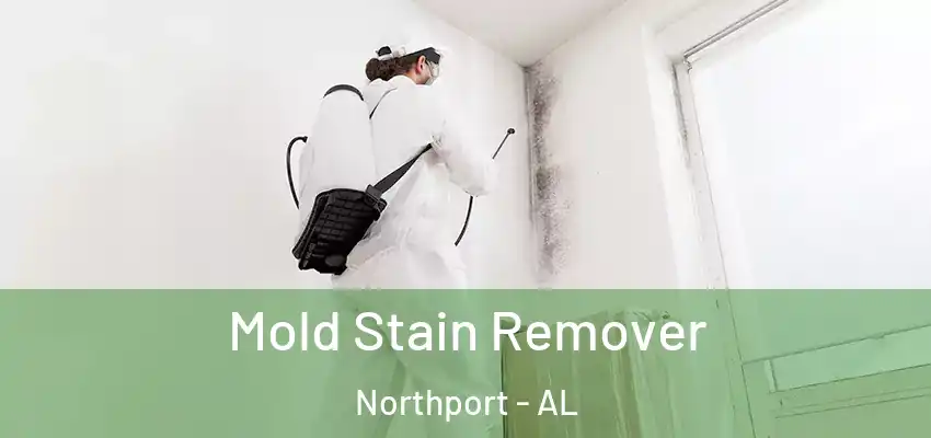 Mold Stain Remover Northport - AL