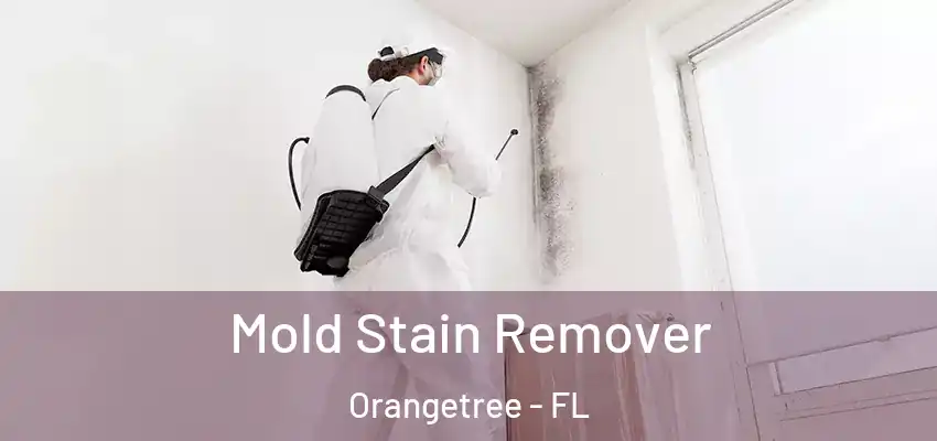  Mold Stain Remover Orangetree - FL