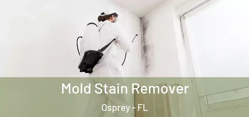 Mold Stain Remover Osprey - FL