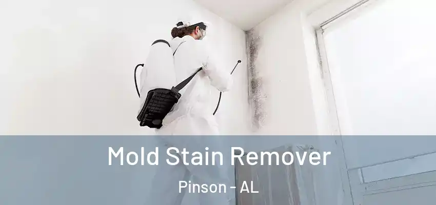 Mold Stain Remover Pinson - AL