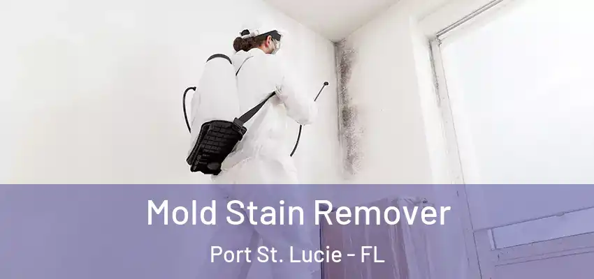  Mold Stain Remover Port St. Lucie - FL