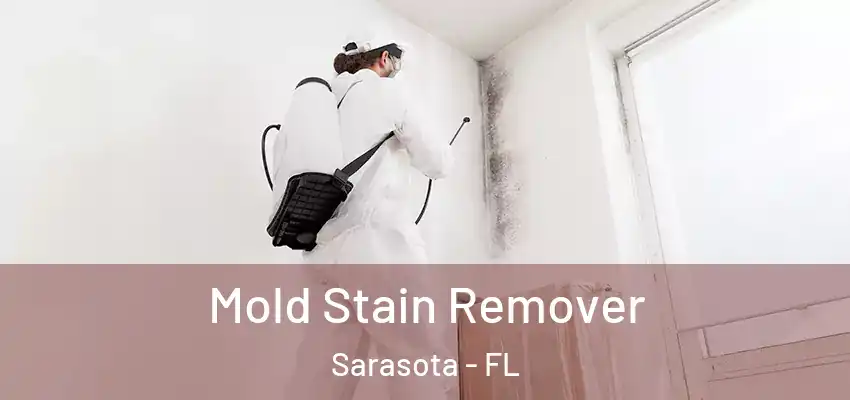  Mold Stain Remover Sarasota - FL