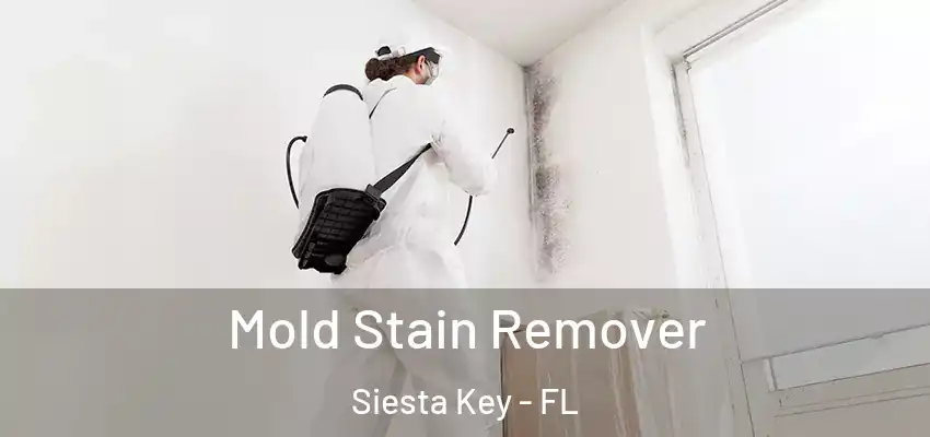 Mold Stain Remover Siesta Key - FL