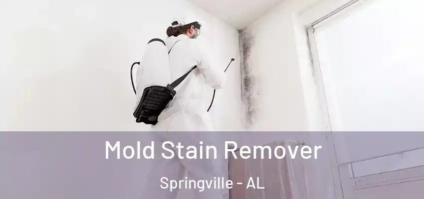  Mold Stain Remover Springville - AL