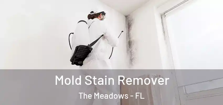 Mold Stain Remover The Meadows - FL