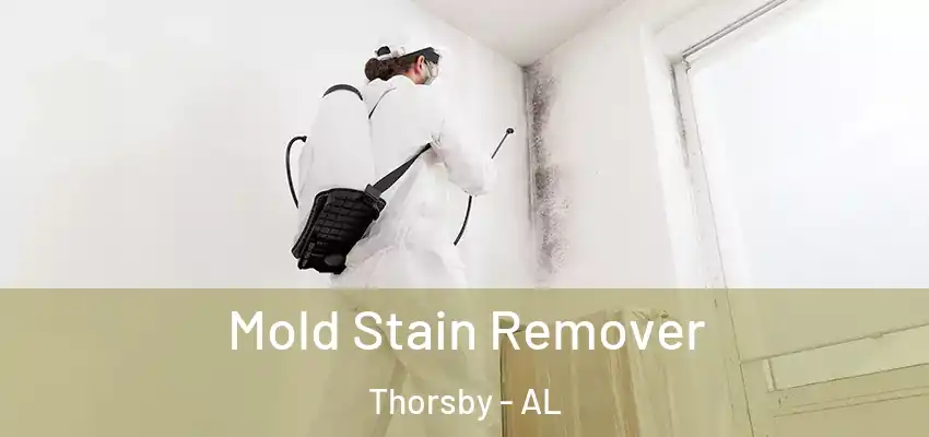 Mold Stain Remover Thorsby - AL