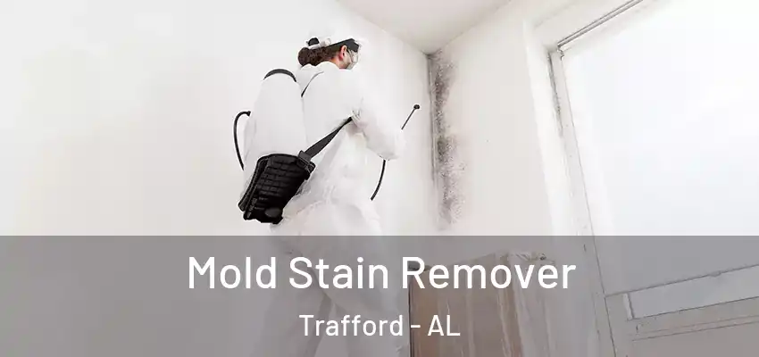 Mold Stain Remover Trafford - AL