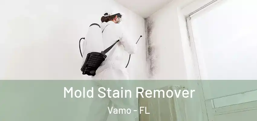 Mold Stain Remover Vamo - FL