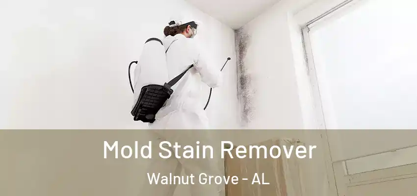 Mold Stain Remover Walnut Grove - AL
