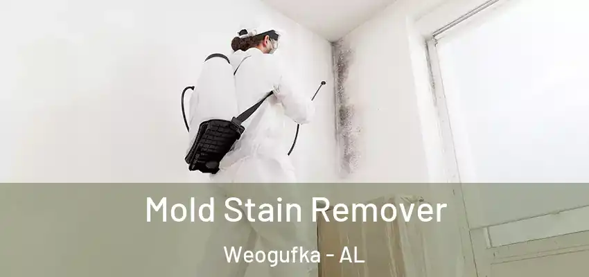  Mold Stain Remover Weogufka - AL