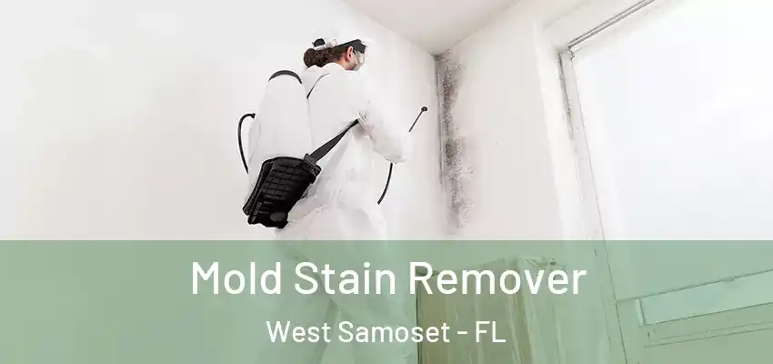 Mold Stain Remover West Samoset - FL
