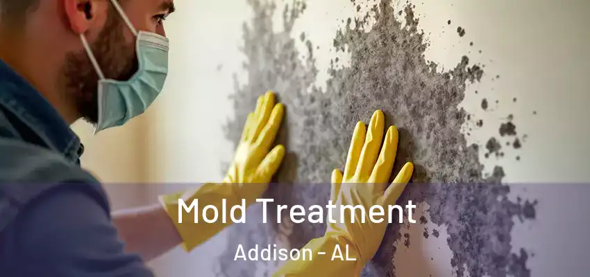  Mold Treatment Addison - AL