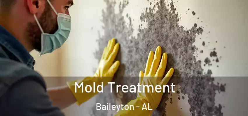  Mold Treatment Baileyton - AL