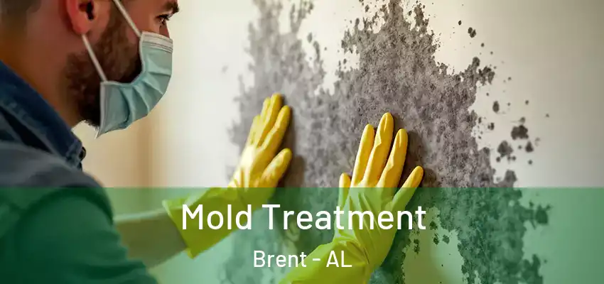  Mold Treatment Brent - AL