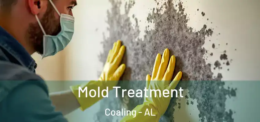 Mold Treatment Coaling - AL