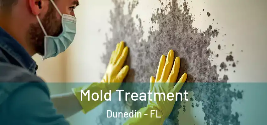 Mold Treatment Dunedin - FL