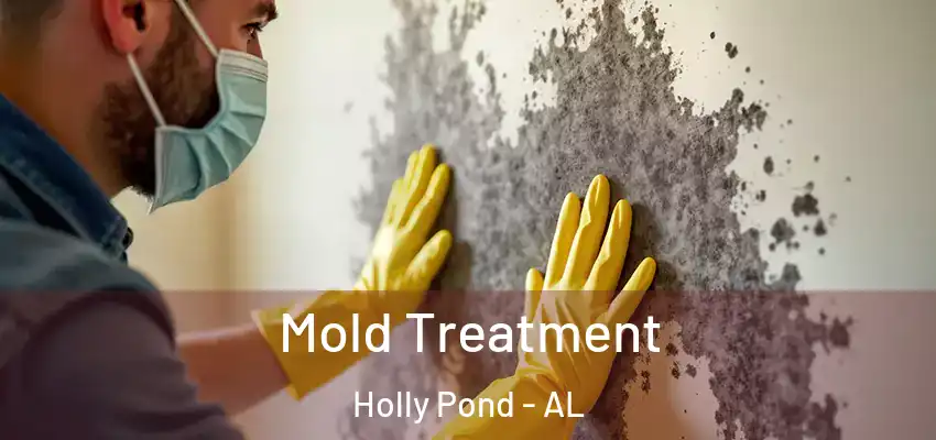  Mold Treatment Holly Pond - AL